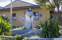 gansbaai_education_high_school_gansbaai_academia_mascot_in_entrancarea_1563537663