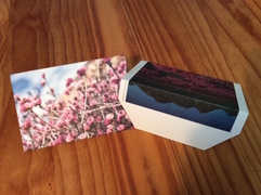 Cut Down on Plastic Pollution - Small Plastic Bags