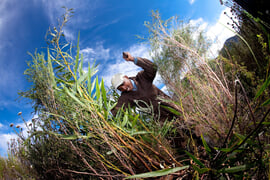 Workings of Flower Valley as a Non-Profit Organisation