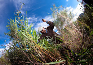 Workings of Flower Valley as a Non-Profit Organisation