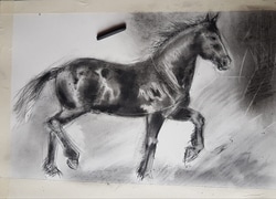 New Charcoal Drawing in Progress