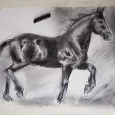 Charcoal drawing - Friesian