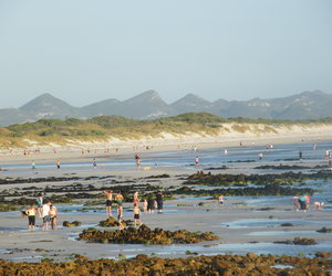 Strande bied verligting