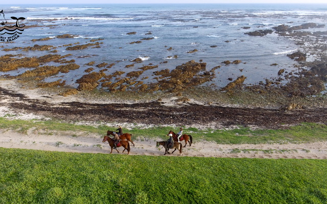 Gansbaai & Pearly Beach Horse Trails