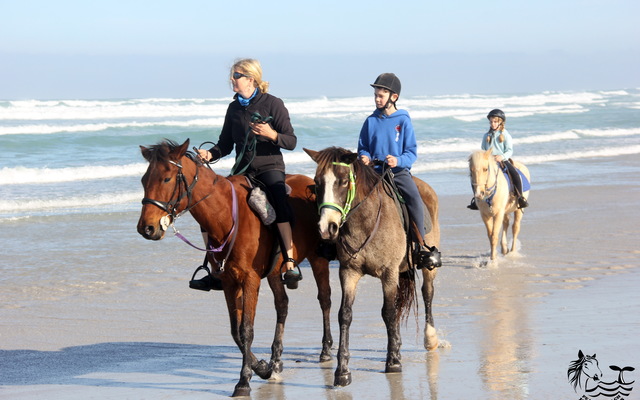 Gansbaai and Pearly Beach Horse Trails - June - July 2019 Horse Riding ...