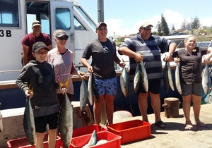 Catching Yellowtail at Danger Point