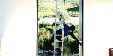 IMG_20210803_093237_1726757372