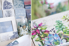 hermanus_speciality_shops_hermanus_factory_shop_bathroom_decor_and_supplies_1566308576