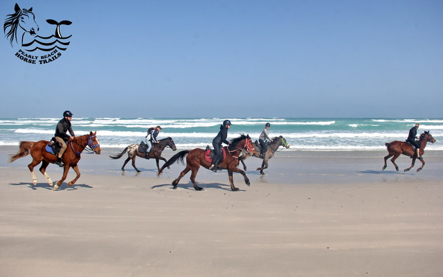 Gansbaai & Pearly Beach Horse Trails