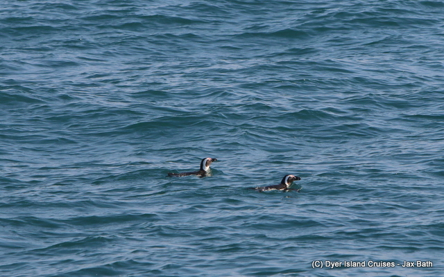 7DM22470_1566456053 7DM22470_1566456053