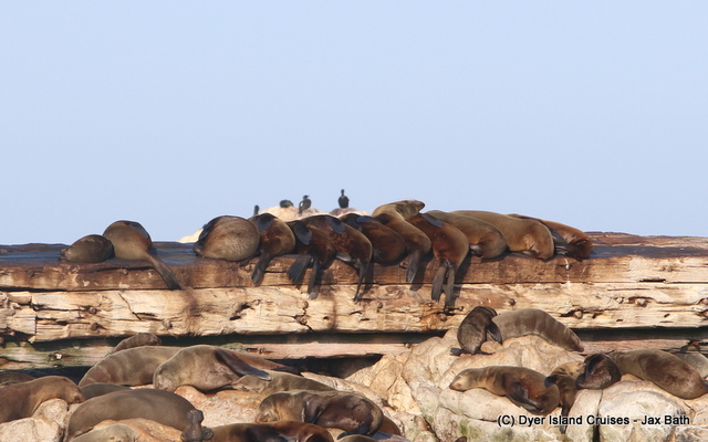 7DM22493_1566456055 7DM22493_1566456055