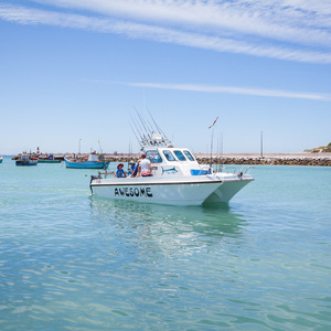 struisbaai_awesome_charters_entering_harbour_4_1548145117_1566461098