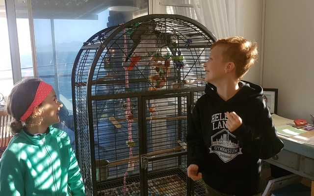 7f56bf39_ef21_4205_a4b9_13140cf357b9_1566478079