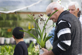 Eikenhoff Orchid Nursery Open Day - 7 September 2019