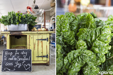 hermanus_restaurants_die_plaaskombuis_fresh_veggies_1566562560