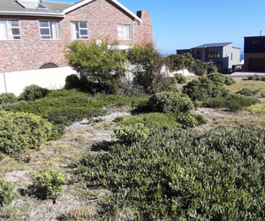 595 m² Vacant Land for Sale in De Kelders 