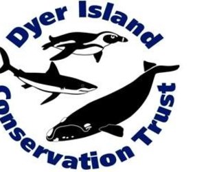 Dyer Island Conservation Trust Logo