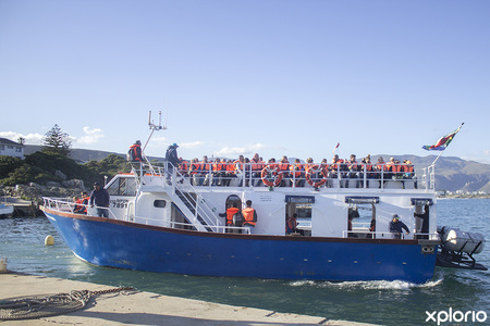 hermanus_things_to_do_whale_watching_hermanus_whale_cruises_life_jackets_for_all_on_board_1567406134