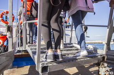 hermanus_things_to_do_whale_watching_hermanus_whale_cruises_loading_1567406153