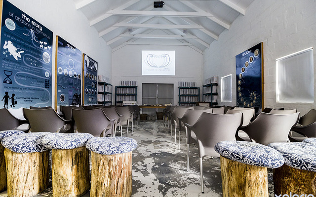 hermanus_things_to_do_abalone_tours_heart_of_abalone_the_tour_room_1566997437_1567675293