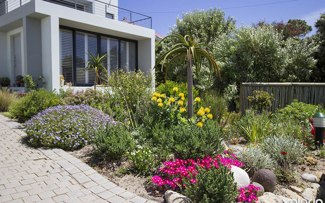 pringle_bay_garden_services_naturescapes_flowerbeds_1540382428_1567766718