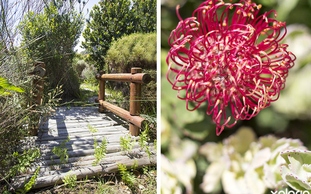 pringle_bay_garden_services_naturescapes_natural_bridges_1540382538_1567766719