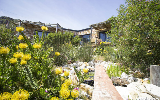 pringle_bay_garden_services_naturescapes_naurally_dveloped_gardens_1540382463_1567766720