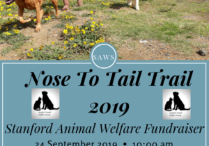 Nose To Tail Trail 2019 Event