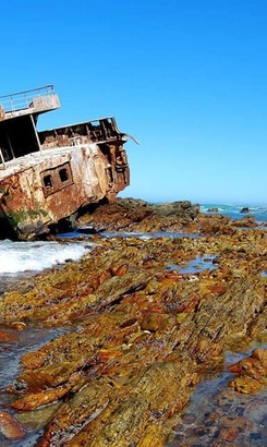 67480895_2391205647825555_9099942162895732736_n_1568184936