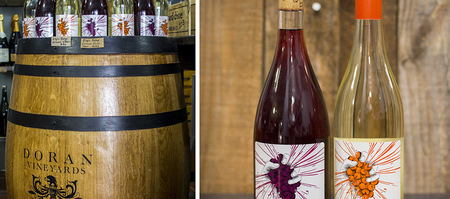 hermanus_wine_shop_wine_and_company_doran_wineyard_1568278347