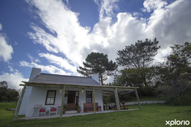 Guests Reviews (Part Two)