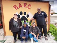 BARC Animal Welfare Launches an SMS Donation Line