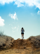 Run, Hike or Bike our Trails