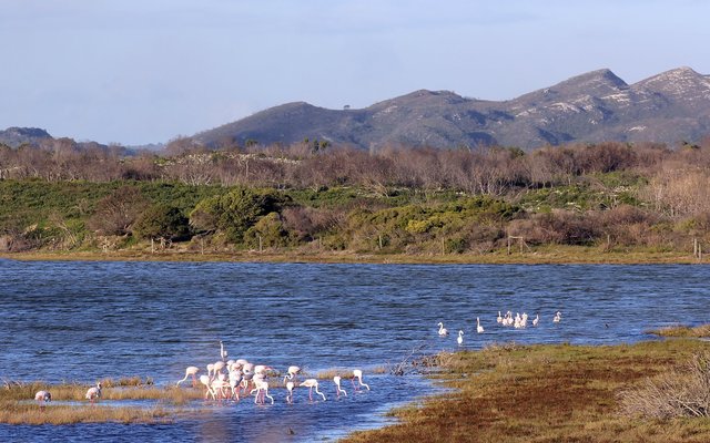 Gansbaai & Pearly Beach Horse Trails