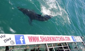 Photo of the day - A new mindset!