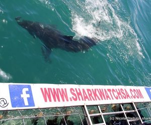 Photo of the day - A new mindset!