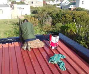 Recent Flooring & Painting Project