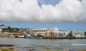 Die verkiesende God. . . .(