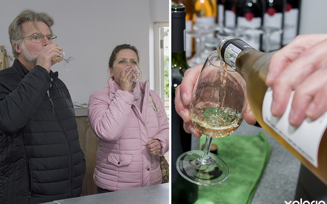 hermanus_wine_shop_wine_and_company_friday_free_wine_tastings_1568278365_1569495070