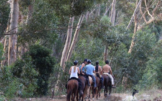 horse_outrides_2000x1855_1570017916