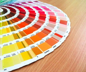 4 Tips For Choosing The Right Paint Colour