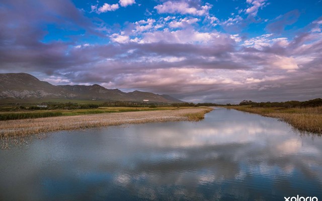 Lady_stanford_view_of_river_and_mountain_1519734970_1570542747