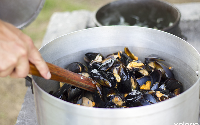 hermanus_restaurant_de_vette_mossel_messels_in_shell_1551175344_1570772787