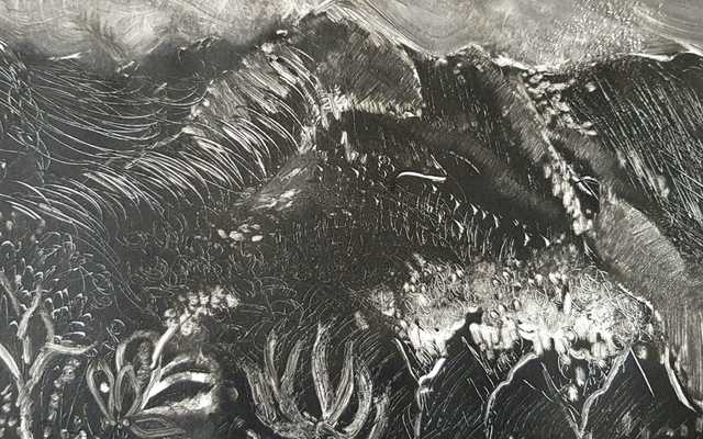 Monoprint workshop with Judy Woodborne in Cape Town