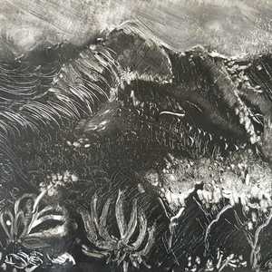 Monoprint workshop with Judy Woodborne in Cape Town