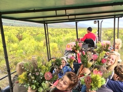 Beloftebos Fynbos Tractor Trip Every Saturday