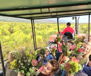 Beloftebos Fynbos Tractor Trip Every Saturday