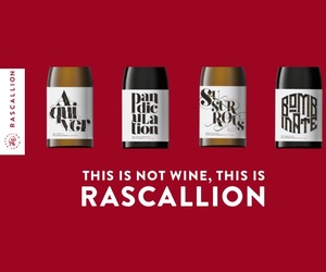 What's happening at Wine and Co. 16 October 2019