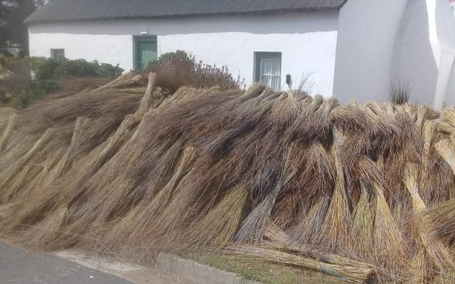 08_IMG_20190107_WA0003_1571591318