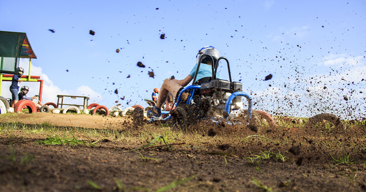 Hermanus Blog Only Open On Saturday The 26th This Week Xplorio™